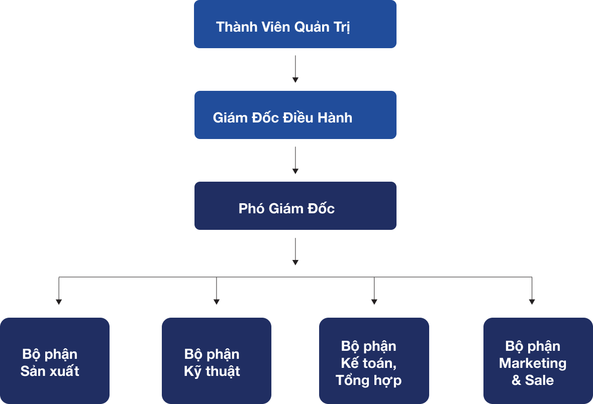 Sơ đồ tổ chức